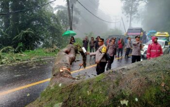 Akses Jalur Medan-Brastagi Terputus, TNI-Polri Bersinergi Lakukan Evakuasi