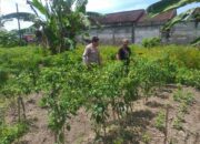 Sosialisasi Ketahanan Pangan oleh Bhabinkamtibmas Jagaraga