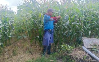 Polri Dukung Ketahanan Pangan di Desa Beleka Lombok Barat