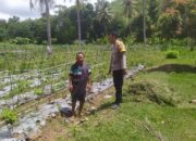Dukung Ketahanan Pangan, Polri Aktif di Desa Batu Putih