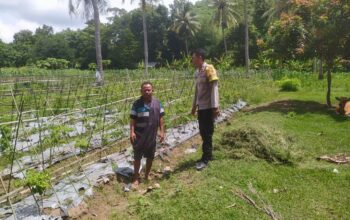 Dukung Ketahanan Pangan, Polri Aktif di Desa Batu Putih