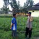 Sinergi Polisi dan Petani di Kuripan Wujudkan Swasembada Pangan