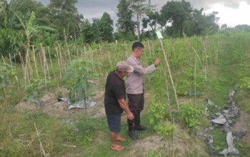 Kolaborasi Warga dan Polisi Dorong Pemanfaatan Pekarangan di Labuapi