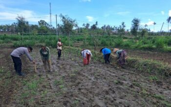 Ketahanan Pangan Dimulai dari Desa Pelangan, Lombok Barat