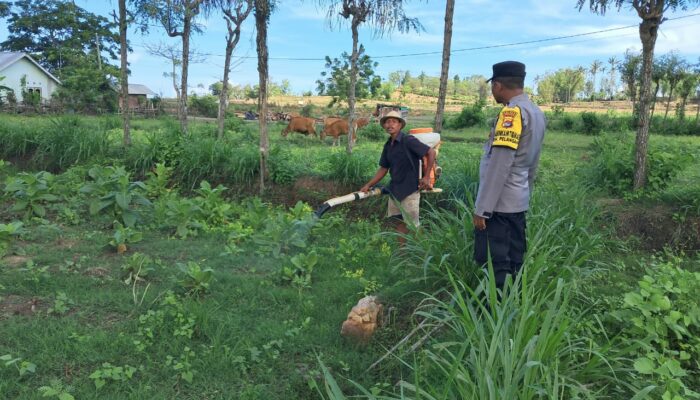 Sinergi Polri-Warga Pelangan Wujudkan Swasembada Pangan