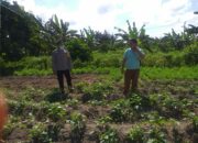 Polri Dukung Ketahanan Pangan Nasional Bhabinkamtibmas Jagaraga Ajak Petani Manfaatkan Lahan Produktif