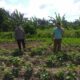 Polri Dukung Ketahanan Pangan Nasional Bhabinkamtibmas Jagaraga Ajak Petani Manfaatkan Lahan Produktif
