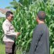 Dukung Ketahanan Pangan, Bhabinkamtibmas Sambangi Petani di Lembar