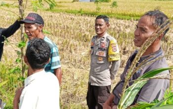 Dukung Ketahanan Pangan, Bhabinkamtibmas Rumak Edukasi Pemanfaatan Lahan Pekarangan