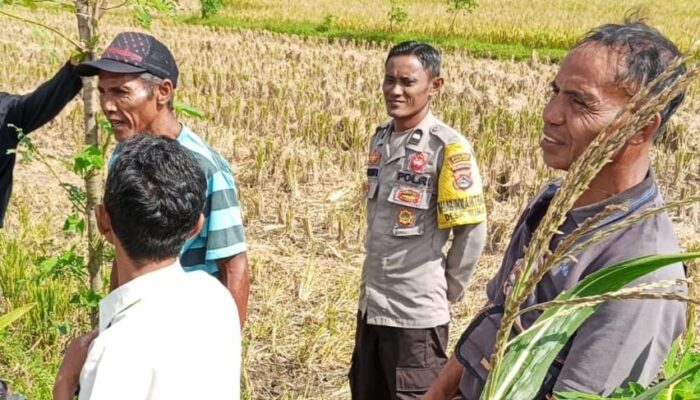Dukung Ketahanan Pangan, Bhabinkamtibmas Rumak Edukasi Pemanfaatan Lahan Pekarangan