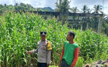 Inisiatif Ketahanan Pangan di Desa Pelangan: Kolaborasi Warga dan Bhabinkamtibmas