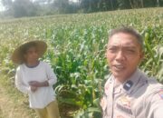Dukungan Polri di Eyat Mayang, Petani Jagung Tak Sendiri