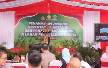 Ketahanan Pangan NTB, Polda dan Pemda Tanam Jagung Serentak di Lombok Barat