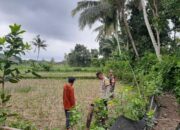 Polri Gencarkan Ketahanan Pangan di Lombok Barat, Bhabinkamtibmas Ajak Warga Sukseskan Swasembada