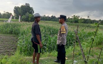 Polri Bina Petani Kuripan Utara Wujudkan Kemandirian Pangan Keluarga