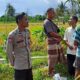 Diversifikasi Pertanian Digalakkan Bhabinkamtibmas Rumak untuk Ketahanan Pangan