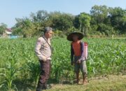 Bhabinkamtibmas Sandik Ajak Warga Dusun Tato Barat Wujudkan Swasembada Pangan