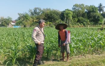 Bhabinkamtibmas Sandik Ajak Warga Dusun Tato Barat Wujudkan Swasembada Pangan