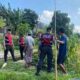 Sat Samapta Polres Lobar Pantau Tanam Jagung di Kebon Ayu