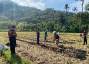 Dukung Ketahanan Pangan, Sat Samapta Sambangi Petani Kebon Ayu