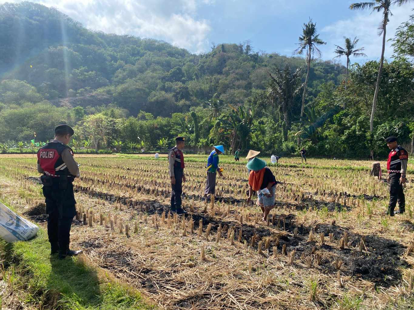 Polres Lombok Barat Dampingi Petani Jagung Desa Kebon Ayu untuk Ketahanan Pangan