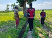Polres Lombok Barat Pantau Lahan Jagung di Desa Tempos untuk Dukung Swasembada Pangan