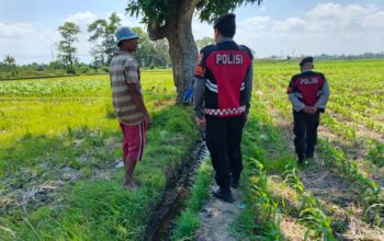 Polres Lombok Barat Pantau Lahan Jagung di Desa Tempos untuk Dukung Swasembada Pangan