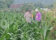 Bhabinkamtibmas Desa Babussalam Dorong Petani Bilakedit Barat Tingkatkan Ketahanan Pangan