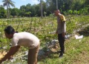 Polsek Sekotong Ajak Petani Berdayakan Lahan Produktif di Dusun Berambang