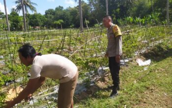 Polsek Sekotong Ajak Petani Berdayakan Lahan Produktif di Dusun Berambang