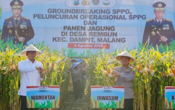 Panen Raya Jagung di Malang, Wujud Nyata Komitmen Polri dalam Ketahanan Pangan Nasional