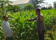 Bhabinkamtibmas Telagawaru Edukasi Petani Soal Lahan Pekarangan Bergizi