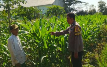 Bhabinkamtibmas Telagawaru Edukasi Petani Soal Lahan Pekarangan Bergizi