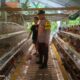 Silaturahmi Bhabinkamtibmas di Kandang Ayam, Polri Ajak Warga Desa Jagaraga Tanam Pangan Mandiri