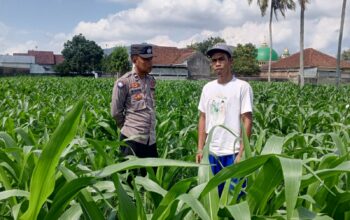 Pendekatan Humanis Polsek Kuripan: Sosialisasi Pangan dan Kamtibmas di Dusun Due Pelet
