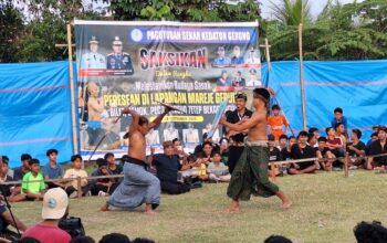 Tradisi Peresean di Gerung Utara, Ajang Regenerasi Pepadu Sasak