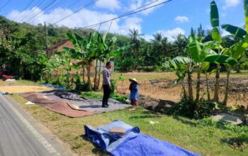Sinergi Polri dan Petani Dusun Eyat Mayang Perkuat Program Ketahanan Pangan Nasional