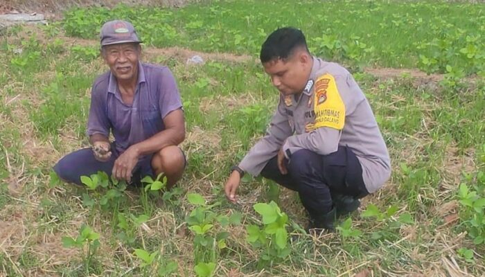 Inisiatif Bhabinkamtibmas Kuranji: Warga Diajak Menanam di Lahan Kosong