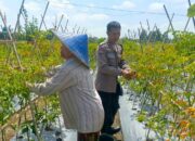 Kapolsek Labuapi Apresiasi DDS Bhabinkamtibmas Perampuan di Karang Bayan