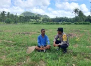 Bhabinkamtibmas Pelangan Gerakkan Warga Tanam Jagung untuk Ketahanan Pangan
