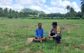 Bhabinkamtibmas Pelangan Gerakkan Warga Tanam Jagung untuk Ketahanan Pangan