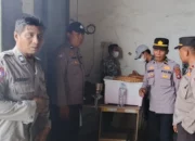 Petani Lega! Jagung Kering Terserap Bulog dengan Harga Acuan Pemerintah