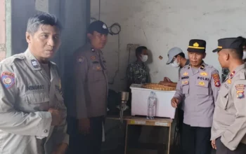 Petani Lega! Jagung Kering Terserap Bulog dengan Harga Acuan Pemerintah