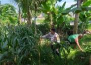Sinergi Polri dan Petani di Lombok Barat Perkuat Kemandirian Pangan