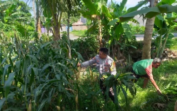 Sinergi Polri dan Petani di Lombok Barat Perkuat Kemandirian Pangan