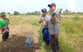 Polsek Labuapi Dukung Ketahanan Pangan Lewat Pendampingan Petani