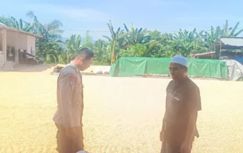 Sinergi Polisi dan Petani Jaga Pasokan Jagung di Lombok Barat