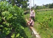 Petani Jagaraga Didorong Polri Tanam Padi dan Jagung untuk Pangan Lokal