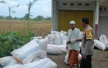 Jagung Melimpah, Polri Dukung Ketahanan Pangan di Lombok Barat