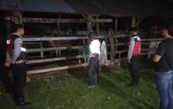 Apresiasi Warga Mengalir, Polisi Hadir di Tengah Sunyi Dini Hari Amankan Hewan Ternak